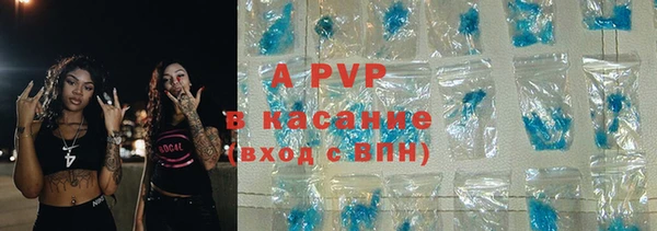 крисы Баксан