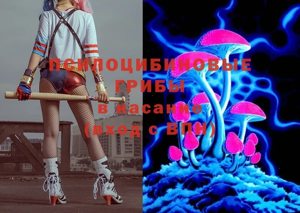 крисы Баксан