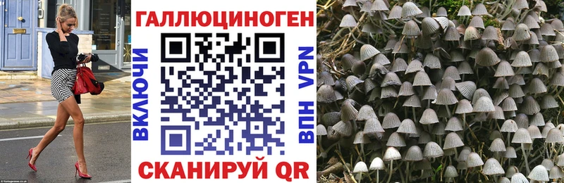blacksprut tor  Сертолово  Псилоцибиновые грибы Magic Shrooms 
