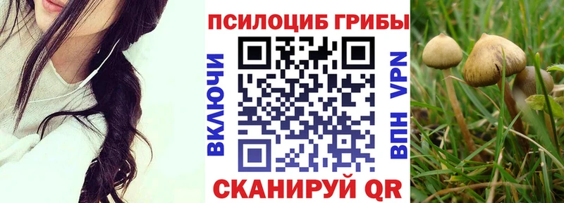 Псилоцибиновые грибы Psilocybe Сертолово